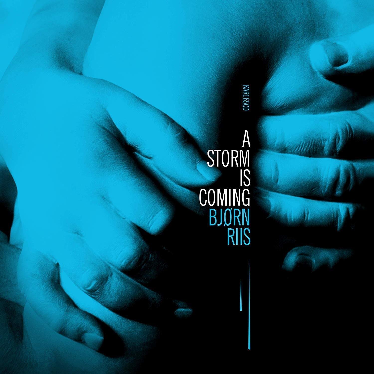 Bjorn Riis - A Storm Is Coming (LP) Bjorn Riis