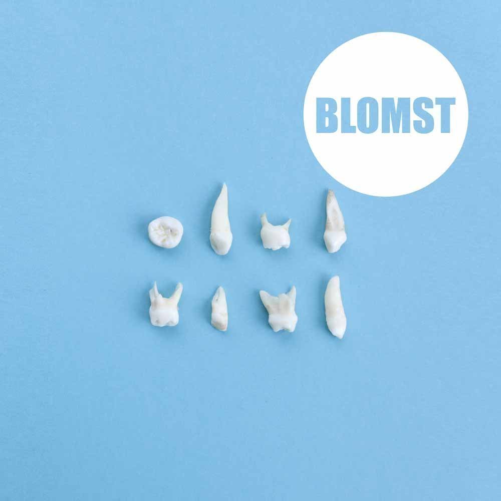 Blomst - Blomst (LP) Blomst