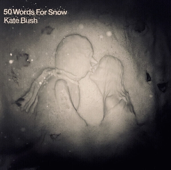 Kate Bush 50 Words For Snow (2 LP) Kate Bush