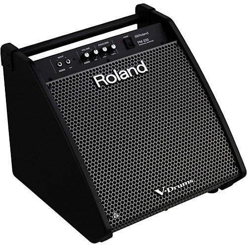 Roland PM-200 Roland