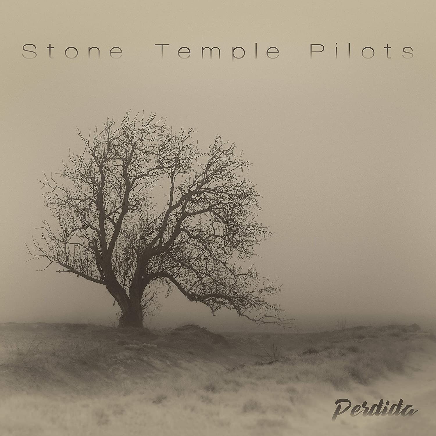 Stone Temple Pilots - Perdida (LP) Stone Temple Pilots