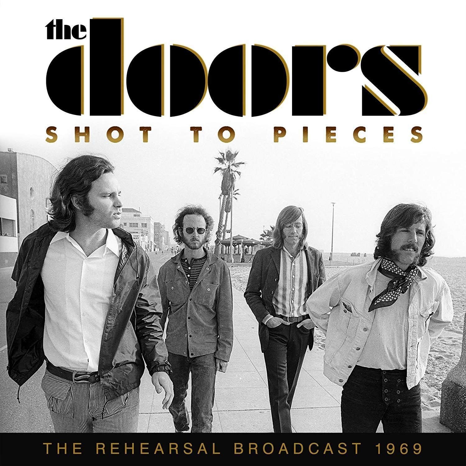The Doors - Shot To Pieces (2 LP) The Doors