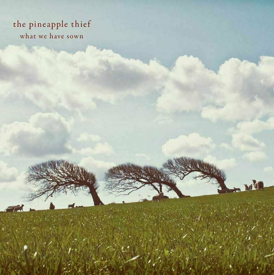 The Pineapple Thief - What We Have Sown (2 LP) The Pineapple Thief