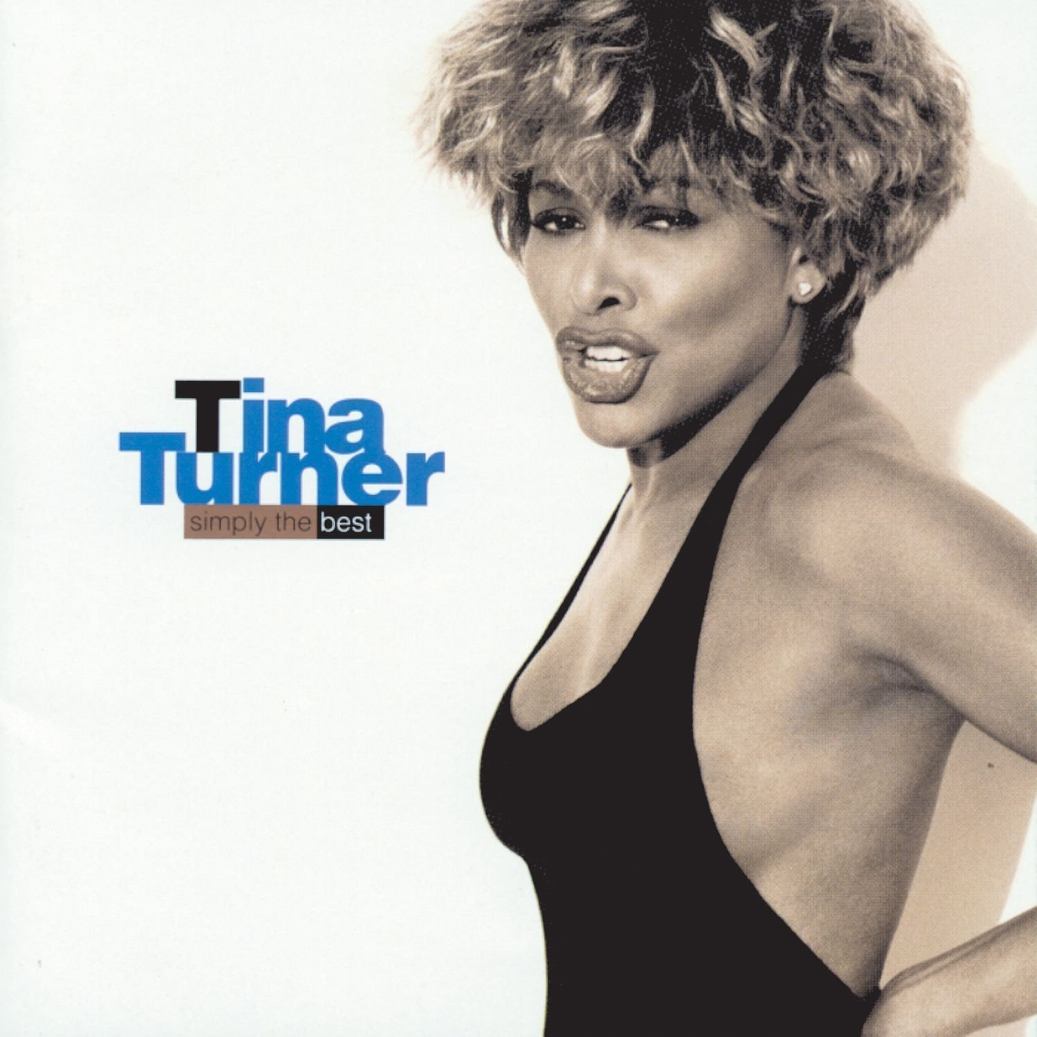 Tina Turner - Simply The Best (LP) Tina Turner