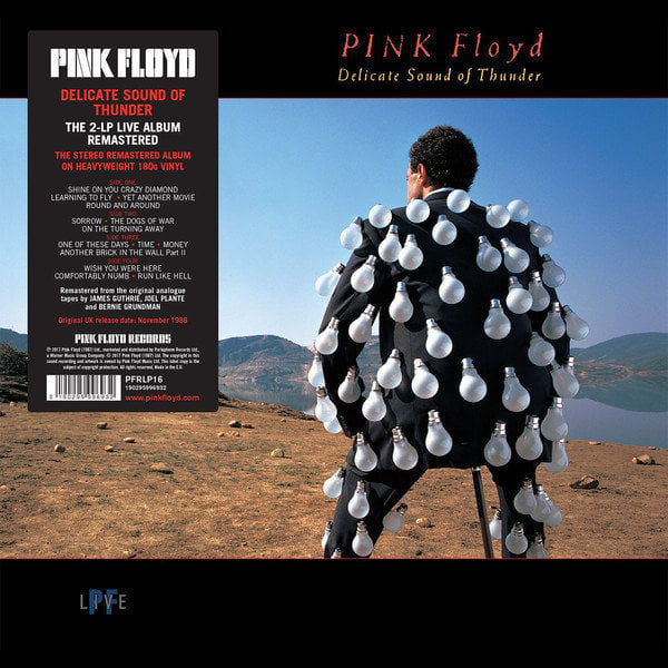 Pink Floyd - Delicate Sound Of Thunder (LP) Pink Floyd