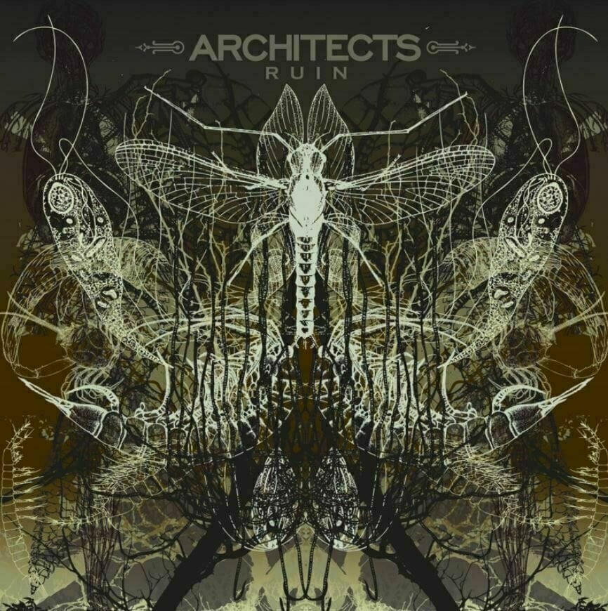 Architects - Ruin (LP) Architects