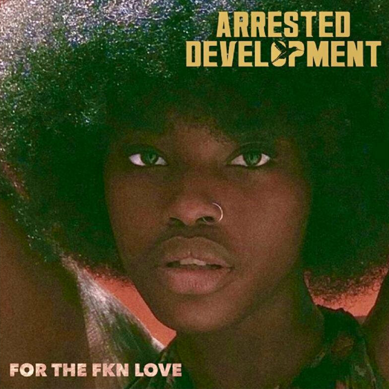 Arrested Development - For The Fkn Love (2 LP) Arrested Development