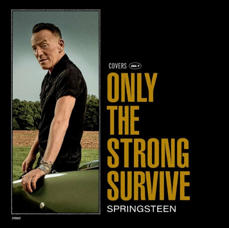 Bruce Springsteen - Only The Strong Survive (Gatefold) (Poster) (Etched) (2 LP) Bruce Springsteen