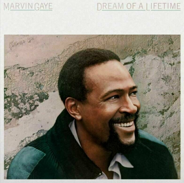 Marvin Gaye - Dream of a Lifetime (Trans Blue Vinyl) (180g) (LP) Marvin Gaye
