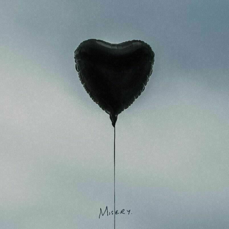 The Amity Affliction - Misery (LP) The Amity Affliction