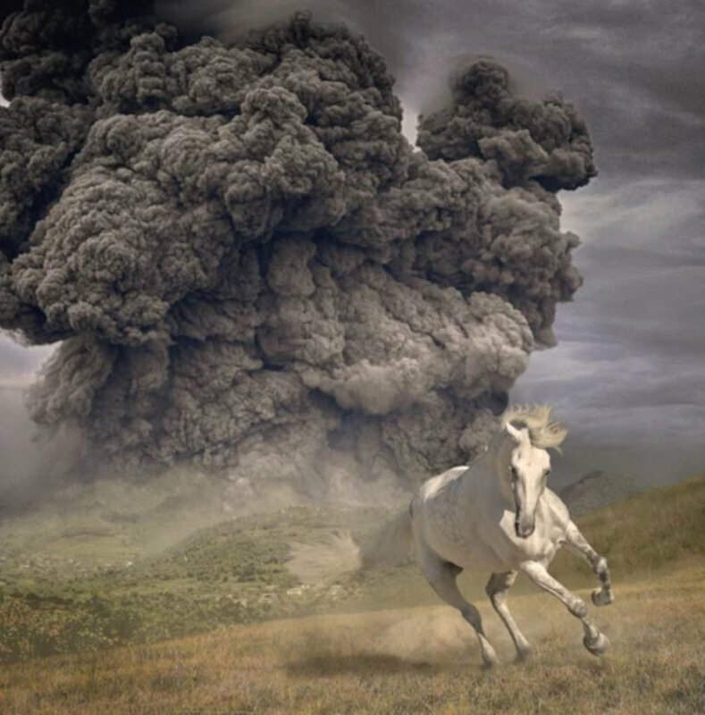 The White Buffalo - Year Of The Dark Horse (LP) The White Buffalo