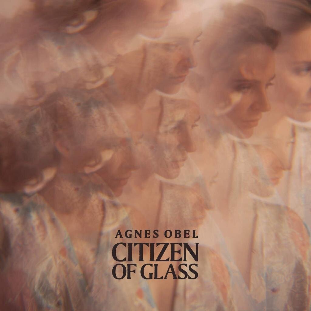 Agnes Obel - Citizen of Glass (2 LP) Agnes Obel