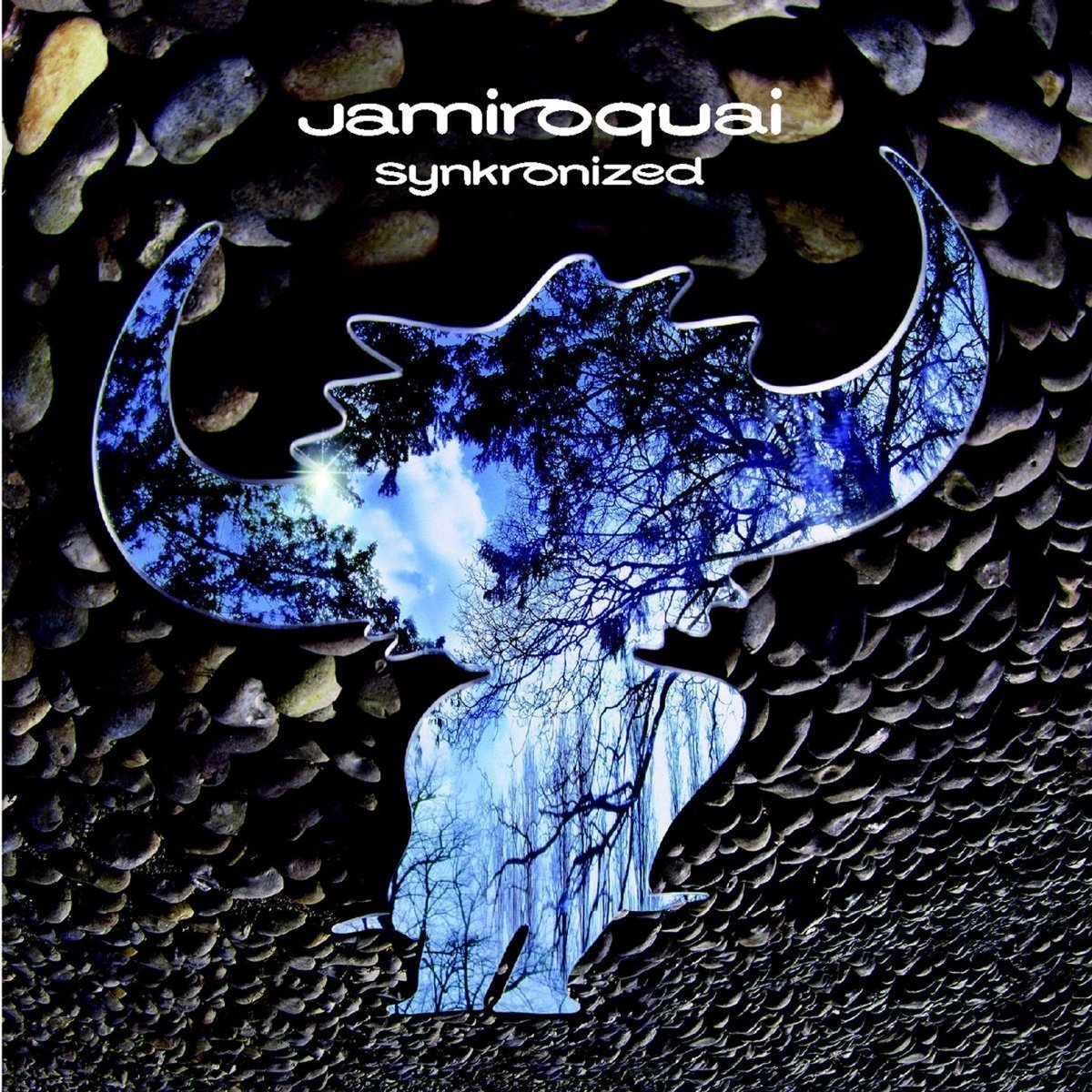 Jamiroquai Synkronized (LP) Jamiroquai