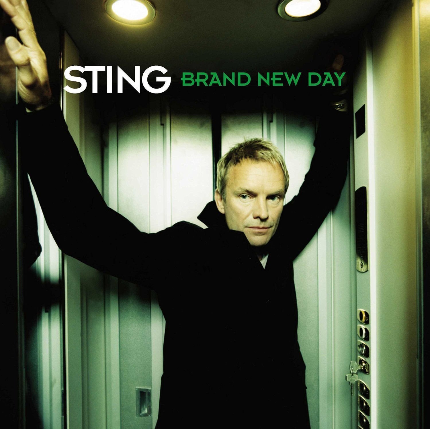 Sting - Brand New Day (2 LP) Sting
