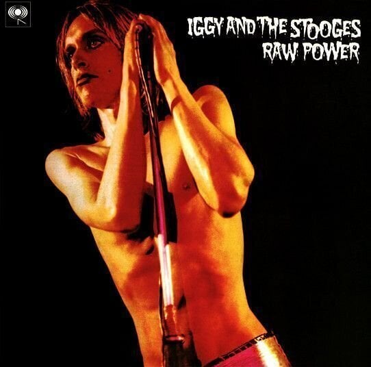 Iggy & The Stooges - Raw Power (2 LP) Iggy & The Stooges