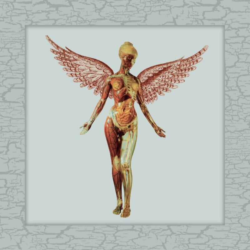 Nirvana In Utero (Limited Edition) (Deluxe Edition) (4 LP) Nirvana