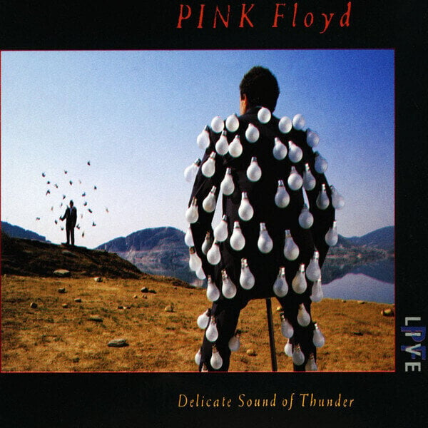 Pink Floyd - Delicate Sound Of Thunder (2 CD) Pink Floyd