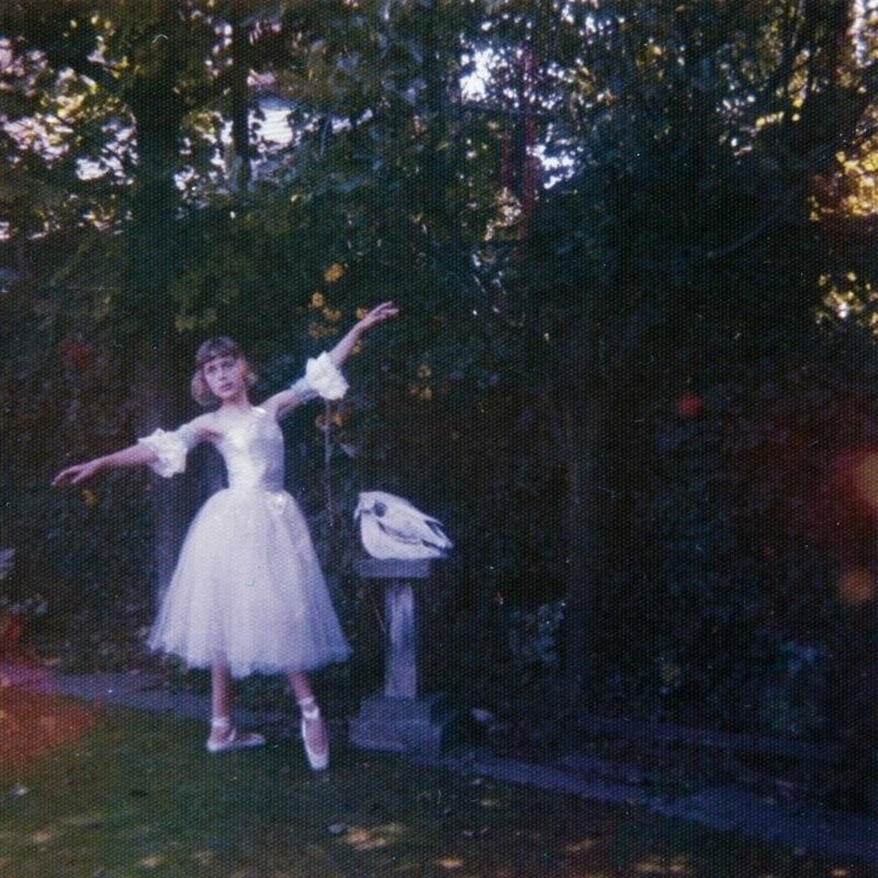 Wolf Alice - Visions Of A Life (2 LP) Wolf Alice