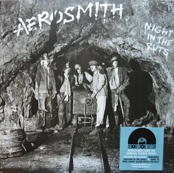Aerosmith - Night In The Ruts (Limited Edition) (180g) (LP) Aerosmith