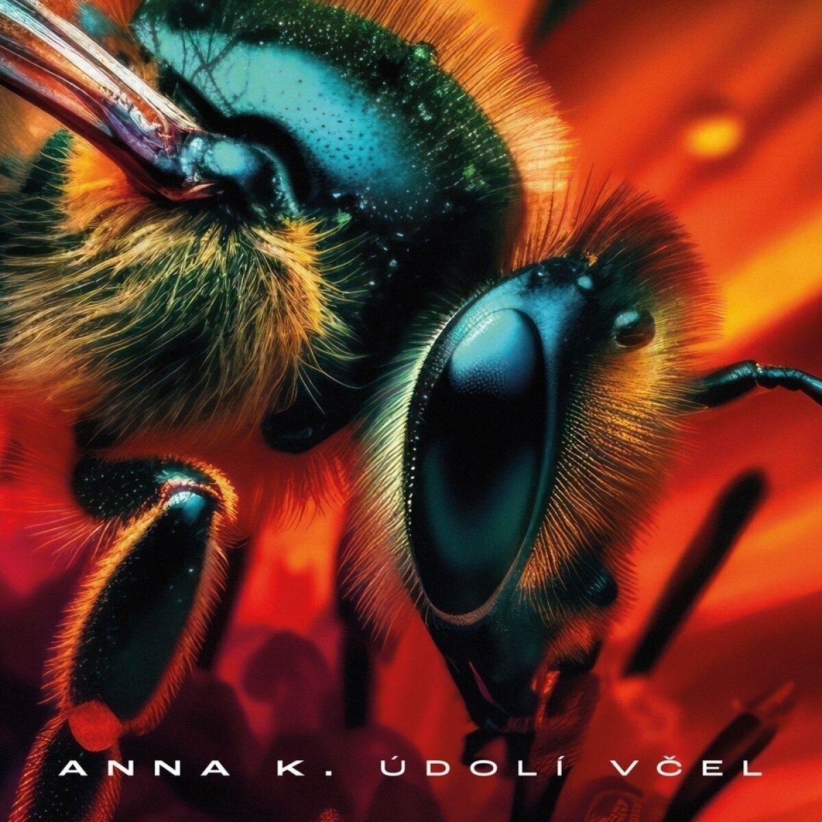 Anna K - Údolí včel (Limited Edition) (Blue Marbled Coloured) (LP) Anna K